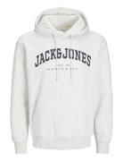 Jjecaleb Varsity Sweat Hood Noos Grey Jack & J S