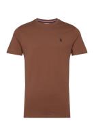 Uspa T-Shirt Arjun Men Brown U.S. Polo Assn.