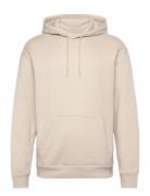 Hco. Guys Sweatshirts Cream Hollister