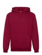 Hco. Guys Sweatshirts Burgundy Hollister