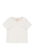 Rib Jersey T-Shirt Cream Copenhagen Colors