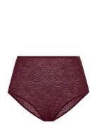 Ximena Brief Burgundy Dorina