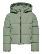 Kmgdolly Short Puffer Jacket Otw Green Kids Only