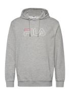 Salitto Hoody Grey FILA