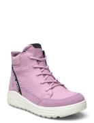 Urban Snowboarder Pink ECCO