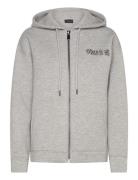 Cmscuba-Hoodie Grey Copenhagen Muse