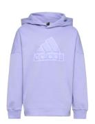 U Fi Logo Hd Purple Adidas Sportswear