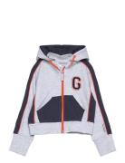 College Zip Hoodie Grey Mel Grey Geggamoja