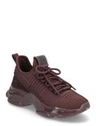 Maxilla-R-E Burgundy Steve Madden