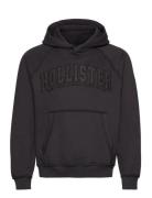 Hco. Guys Sweatshirts Brown Hollister