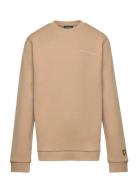 Script Crew Neck Sweatshirt Beige Lyle & Scott