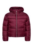 Logo Aop Puffer Jacket Red Calvin Klein