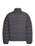 Ayu Padded Jacket Black Daily Paper