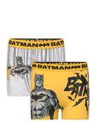 Boxer Yellow Batman