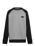 By Core Basic Raglan Crew Grey VANS