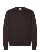 Plush Cotton Sweatshirt Brown Mango