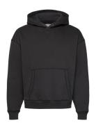 Hco. Guys Sweatshirts Black Hollister