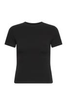 Flex Tee Black Organic Basics