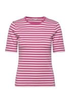 Slim Striped 1X1 Ribbed Ss T-Shirt Pink GANT