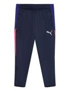 Individualliga Training Pants Jr Blue PUMA