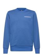 Fw-Crew Blue Converse