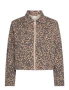 Charlie Printed Denim Jacket Brown French Connection