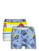 Boxer Patterned Paw Patrol