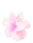 Plumeria Hawaii Big Pink SUI AVA