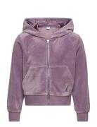 Sweatshirt Velour With Hoodie Purple Lindex