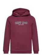 Gant 1949 Hoodie Burgundy GANT