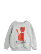 Cat Sp Sweatshirt Grey Mini Rodini