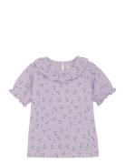 T-Shirt Ss Crepe Purple Creamie