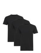 Basic 3 Pack T-Shirt Black Lyle & Scott