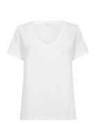 Crnaia Deep V-Neck T-Shirt White Cream