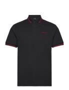 Hs Tipped Polo Black Hackett London