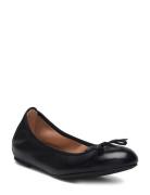 Acor_25_Nto Black UNISA