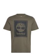 Short Sleeve Tee Green Timberland