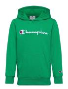 Hooded Sweatshirt Green Champion