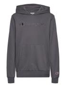 Hooded Sweatshirt Grey Champion