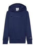 Hooded Sweatshirt Navy Champion