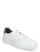 Ace - White/Elephant Leather White Garment Project