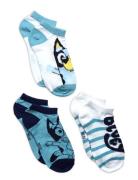 Socks Patterned Bluey