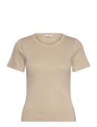 Otis-M Beige MbyM