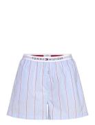 Poplin Short Blue Tommy Hilfiger