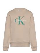 Ck Monogram Terry Cn Beige Calvin Klein