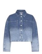 Winnia-M Blue MbyM