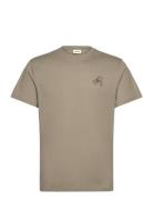 Sdpax Brown Solid