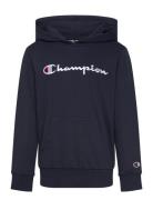 Hooded Sweatshirt Navy Champion