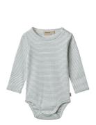 Body L/S Berti Blue Wheat