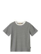T-Shirt S/S Fabian Navy Wheat